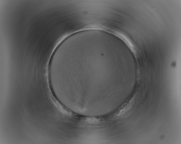 X0000093740907200711061021