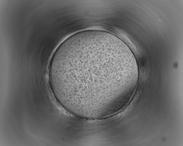 X0000093740908200711061021