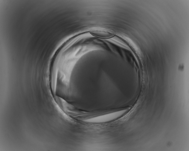 X0000093740910200711061021