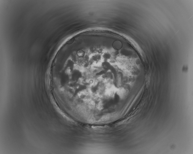 X0000093740911200711061021