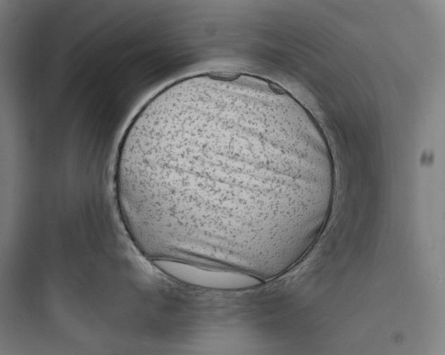 X0000093740912200711061021