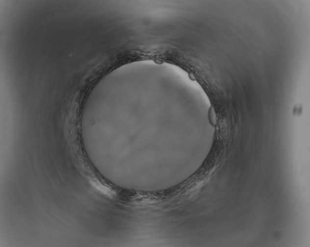 X0000093740913200711061020