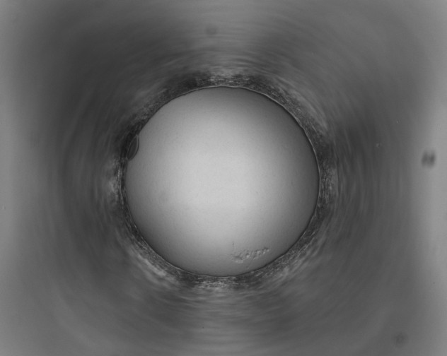 X0000093740914200711061020