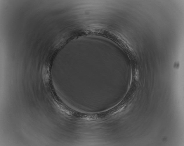 X0000093740915200711061020