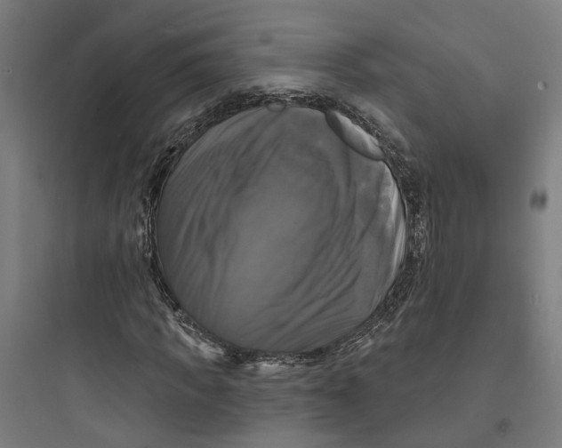 X0000093740917200711061020