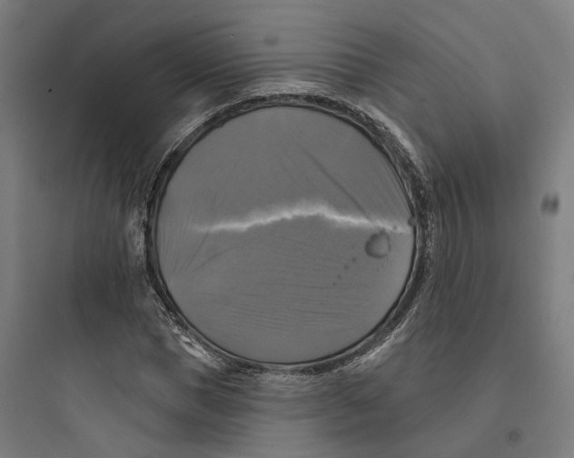 X0000093740921200711061020