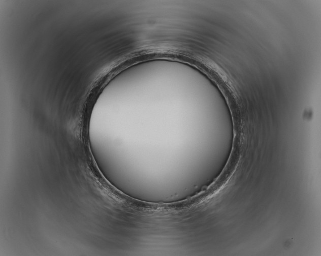 X0000093740922200711061020