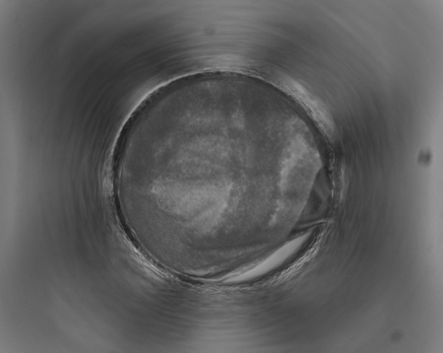 X0000093740924200711061020