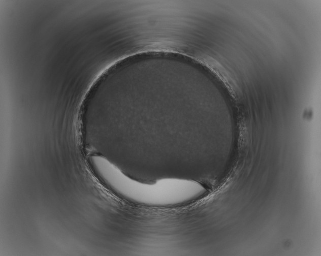 X0000093740926200711061020