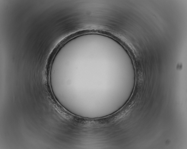 X0000093740927200711061020