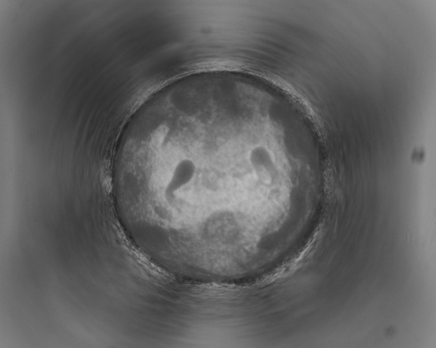 X0000093740929200711061020