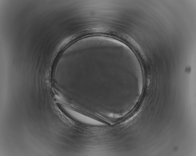 X0000093740930200711061020