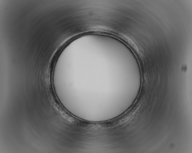 X0000093740931200711061020