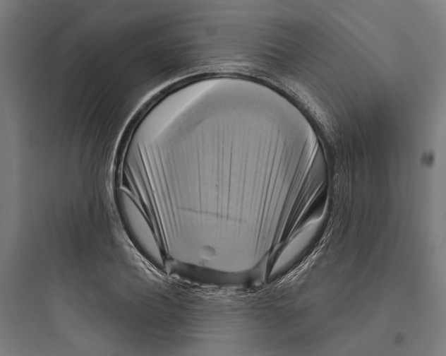 X0000093740932200711061020