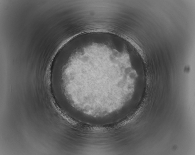 X0000093740933200711061020