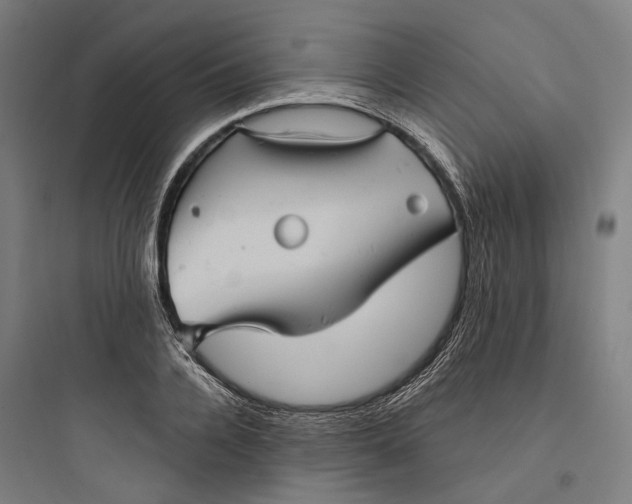 X0000093740936200711061020