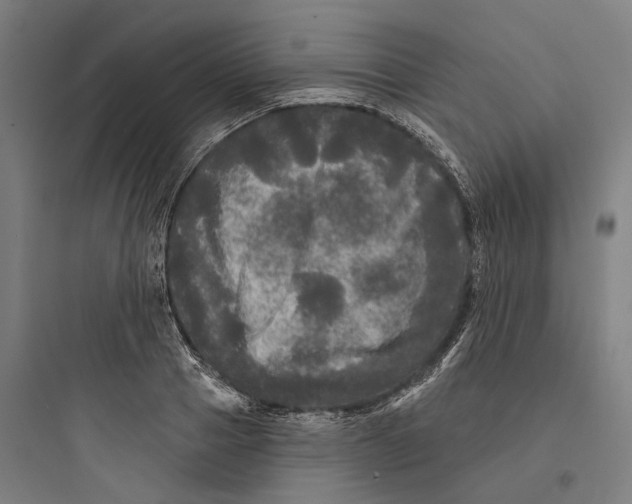 X0000093740937200711061020