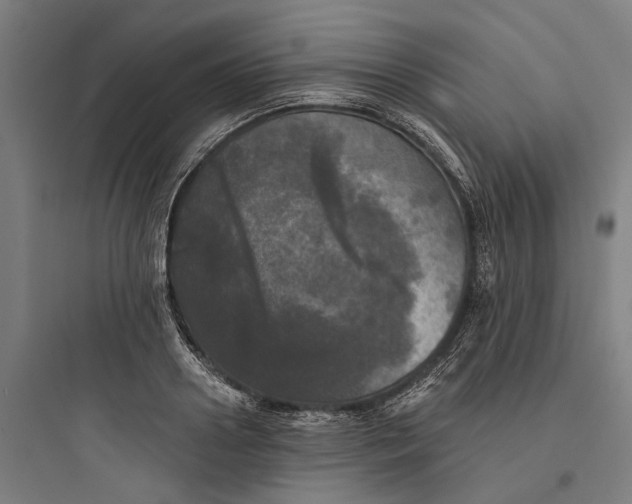 X0000093740938200711061020