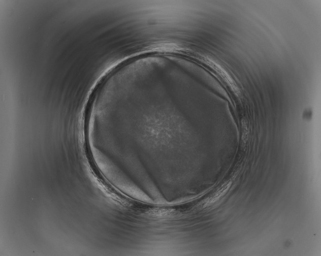 X0000093740939200711061020