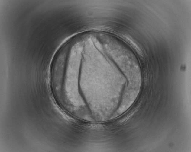 X0000093740940200711061020