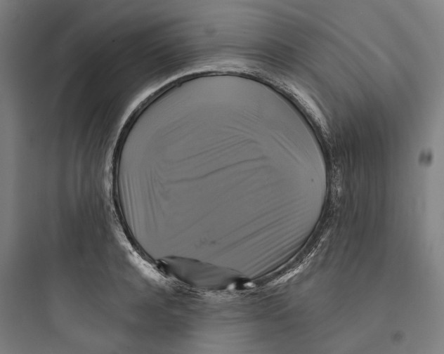 X0000093740944200711061020