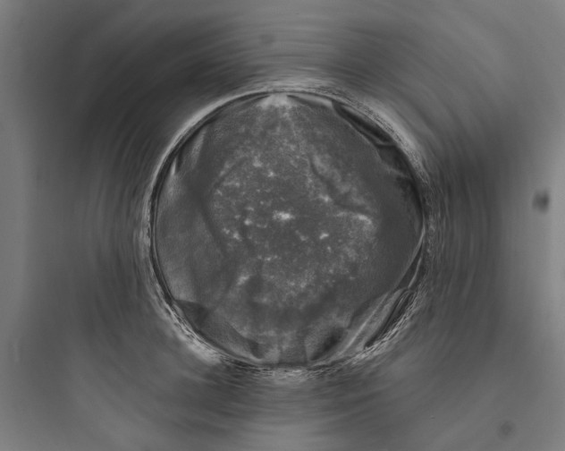 X0000093740948200711061021