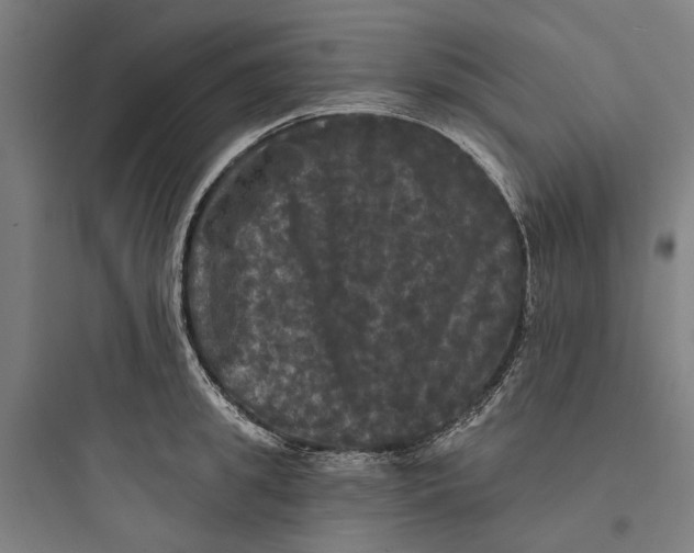 X0000093740949200711061021