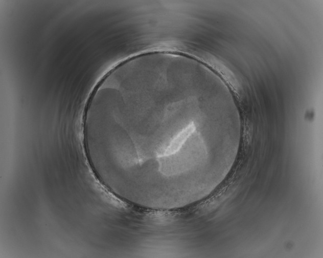 X0000093740950200711061021