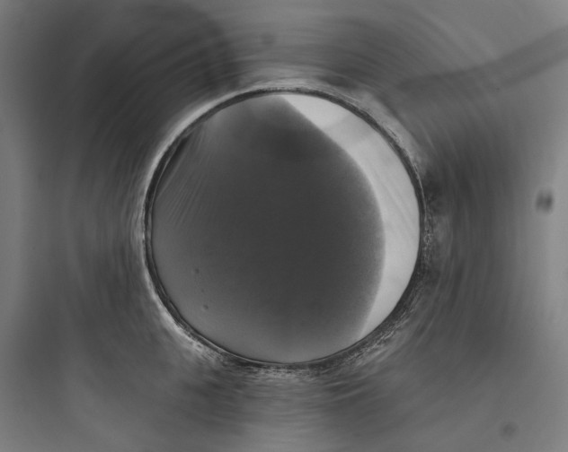 X0000093740951200711061021