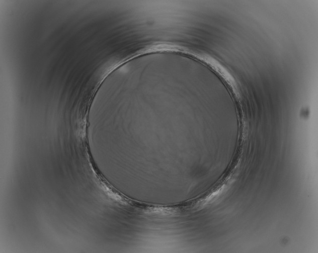 X0000093740953200711061021