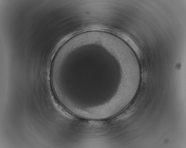 X0000093740954200711061021