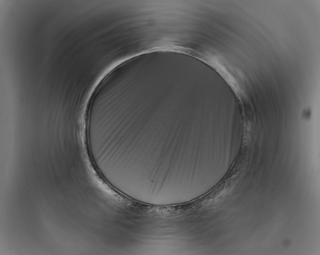 X0000093740955200711061021