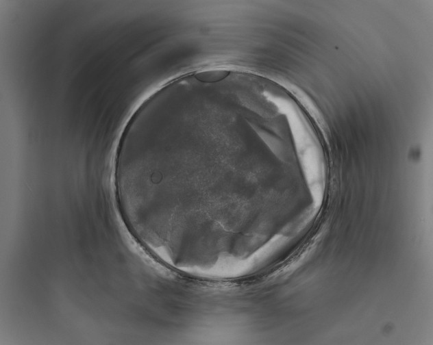 X0000093740957200711061021