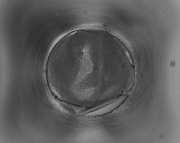 X0000093740960200711061021