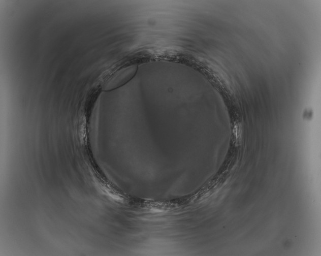 X0000093740963200711061020