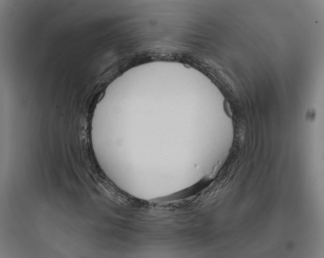 X0000093740964200711061020