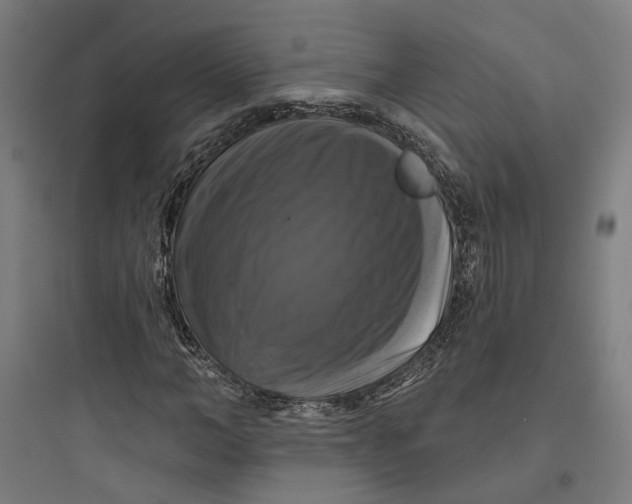 X0000093740966200711061020