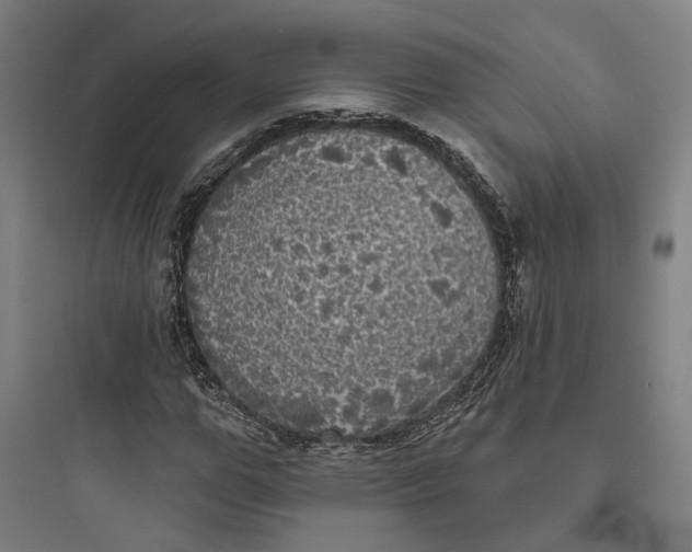 X0000093740967200711061020