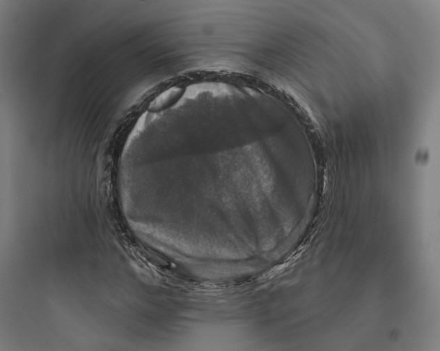 X0000093740968200711061020