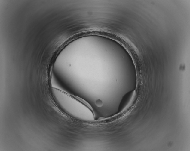 X0000093740969200711061020