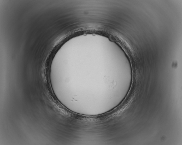 X0000093740970200711061020