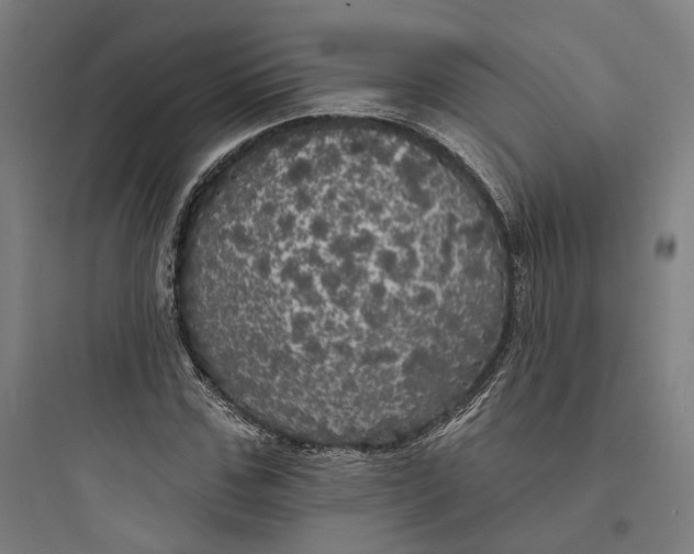 X0000093740971200711061020