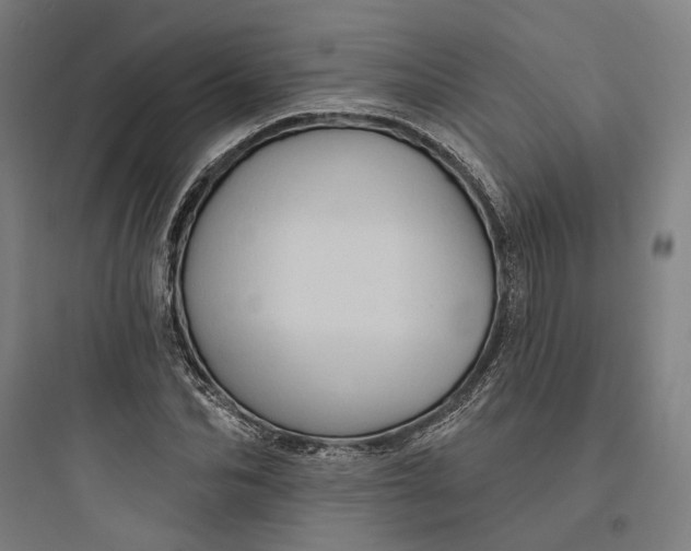 X0000093740974200711061020