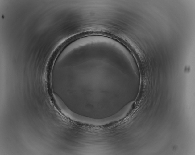 X0000093740975200711061020