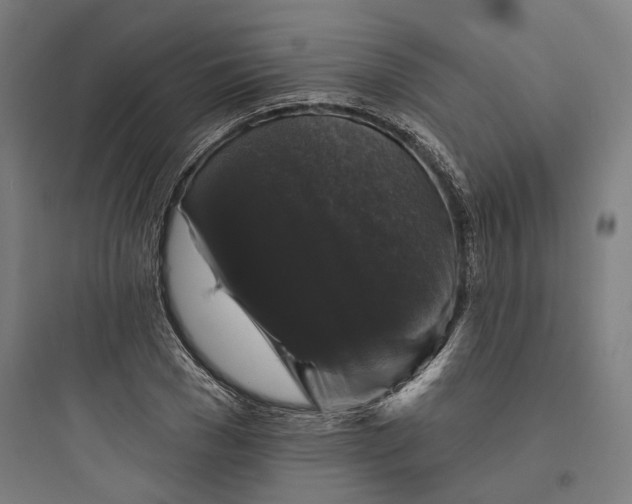 X0000093740977200711061020