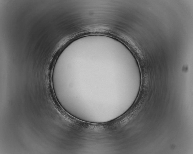 X0000093740978200711061020