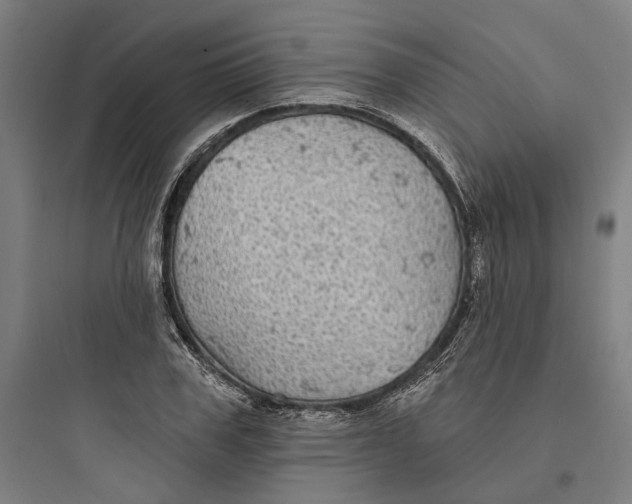 X0000093740979200711061020