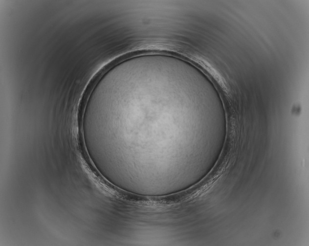 X0000093740980200711061020