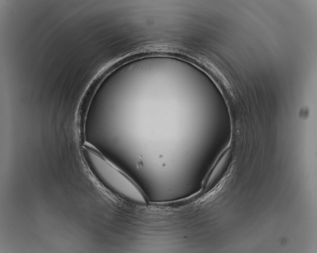 X0000093740981200711061020