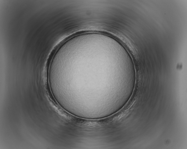 X0000093740982200711061020